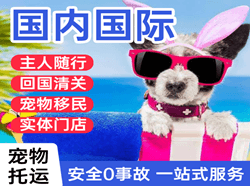 舟山机场货运国际宠物托运 【国